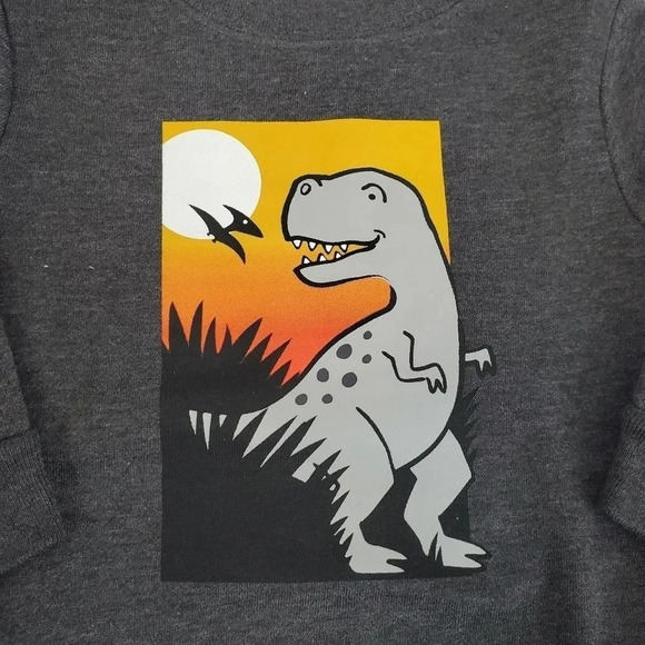 Grey and Black TREX Boys Fleece Lined Sweatshirt and Sweatpants Matching Set - Picture 5 of 9